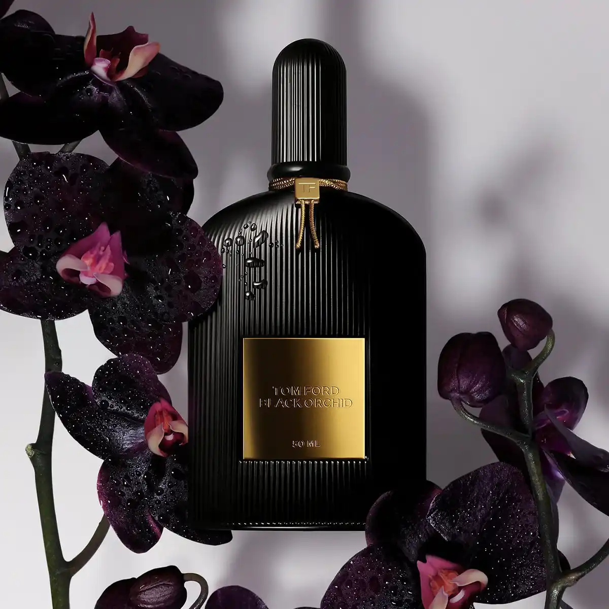Hình 2 - Tom Ford Black Orchid EDP 100ml