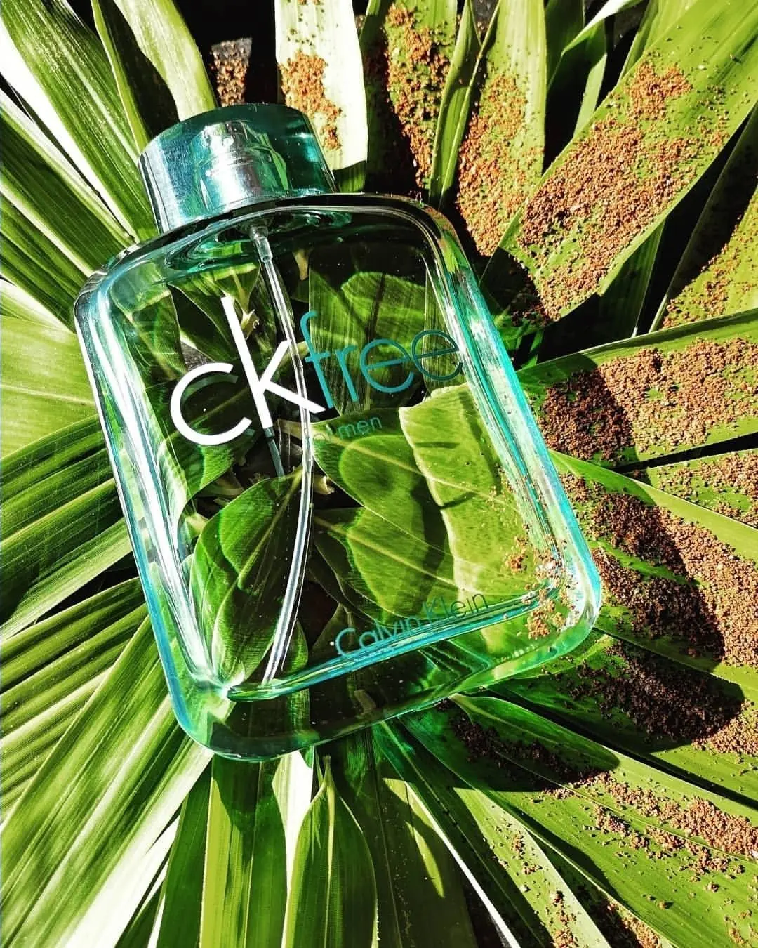 Hình 2 - Calvin Klein CK Free For Men EDT 100ml