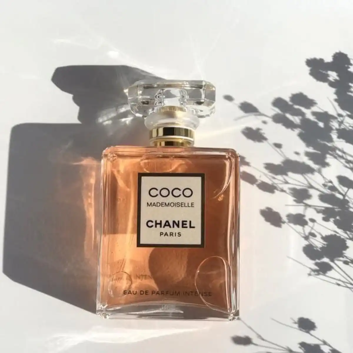 Hình 1 - Chanel Coco Mademoiselle EDP Intense 50ml