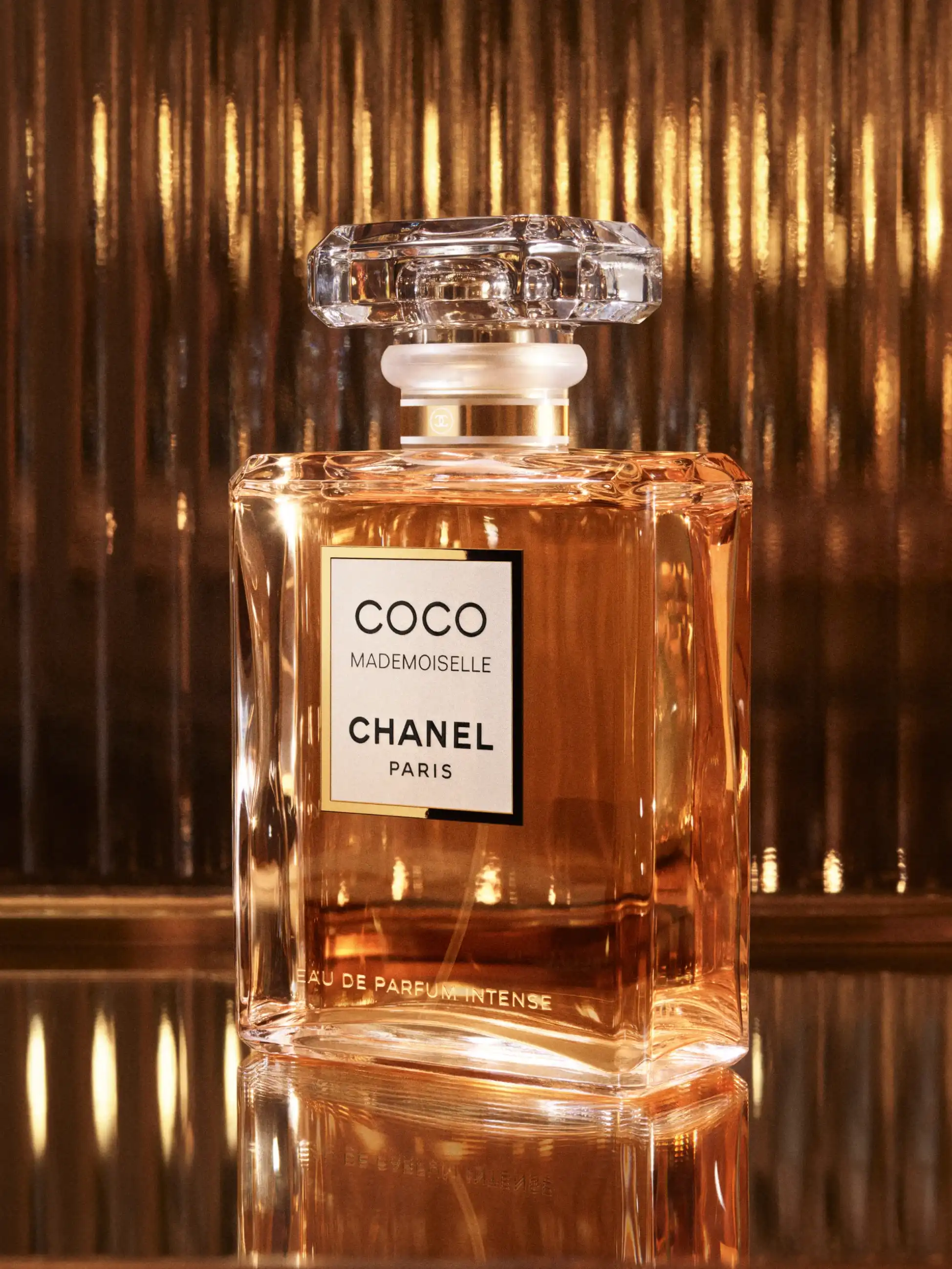 Hình 7 - Chanel Coco Mademoiselle EDP Intense 100ml
