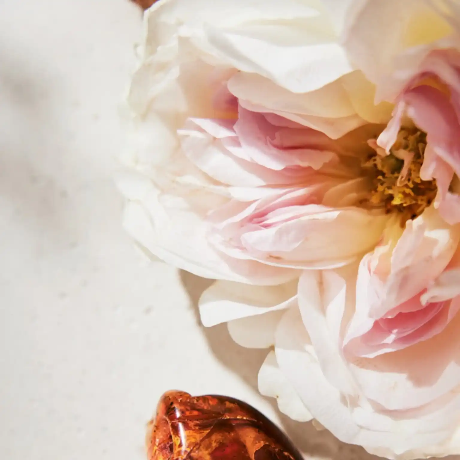 Hình 3 - Chloe EDP 75ml