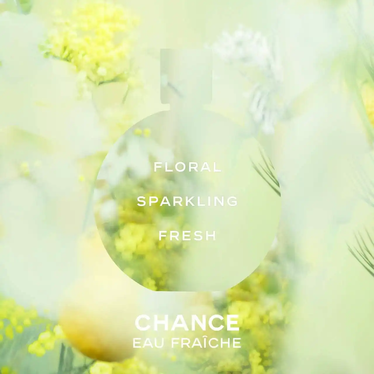 Hình 3 - Chanel Chance Eau Fraiche EDT 100ml