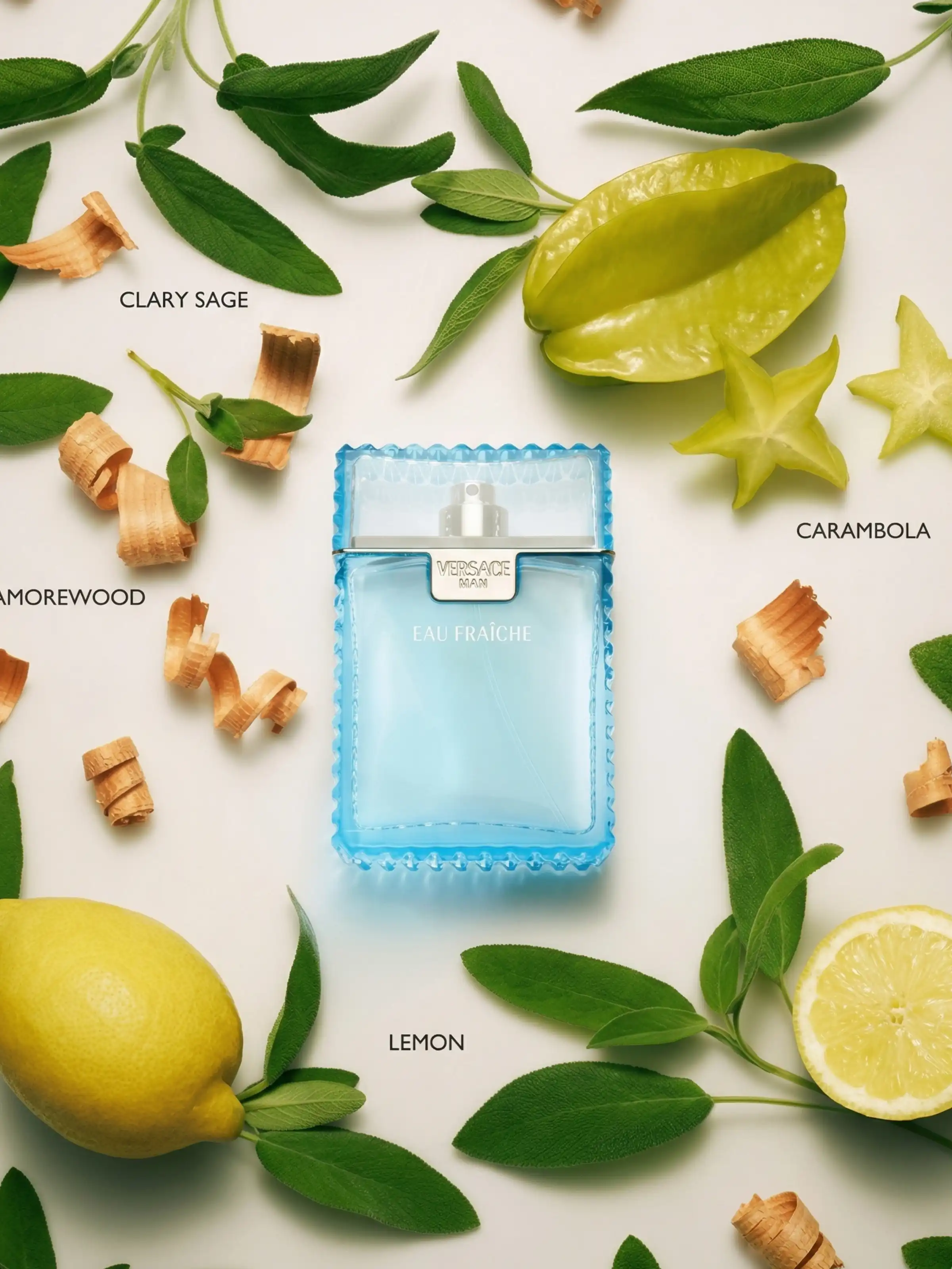 Hình 3 - Versace Man Eau Fraiche EDT 100ml