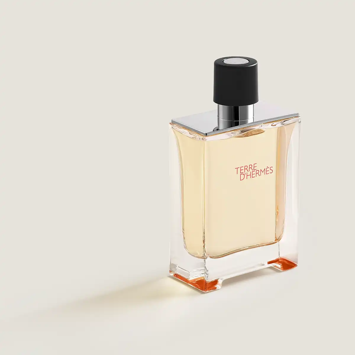 Hình 2 - Hermes Terre d’Hermes EDT 100ml