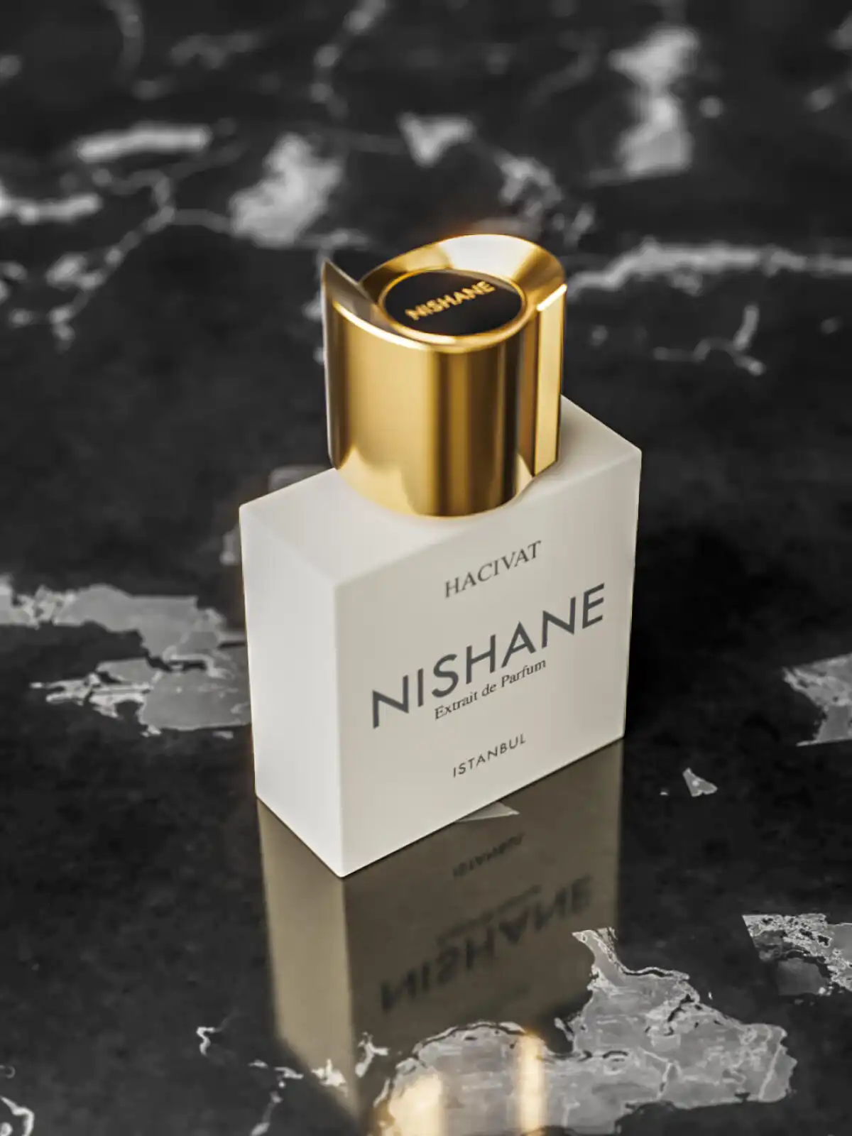 Hình 5 - Nishane Hacivat Extrait de Parfum 100ml
