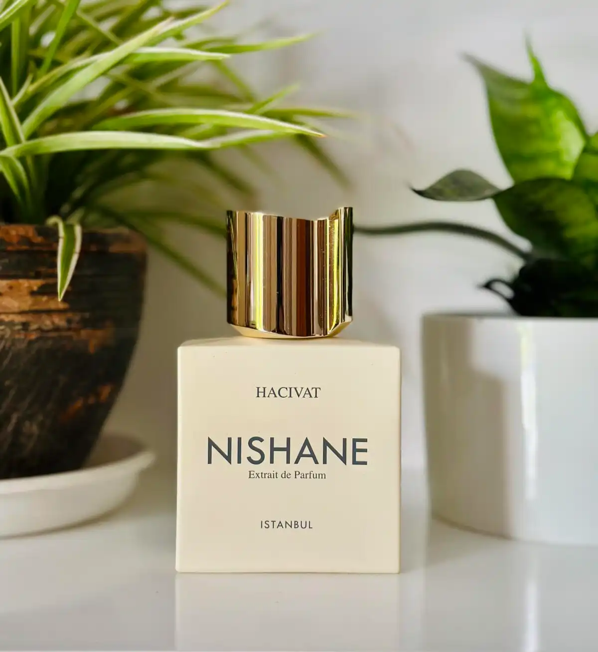 Hình 6 - Nishane Hacivat Extrait de Parfum 100ml