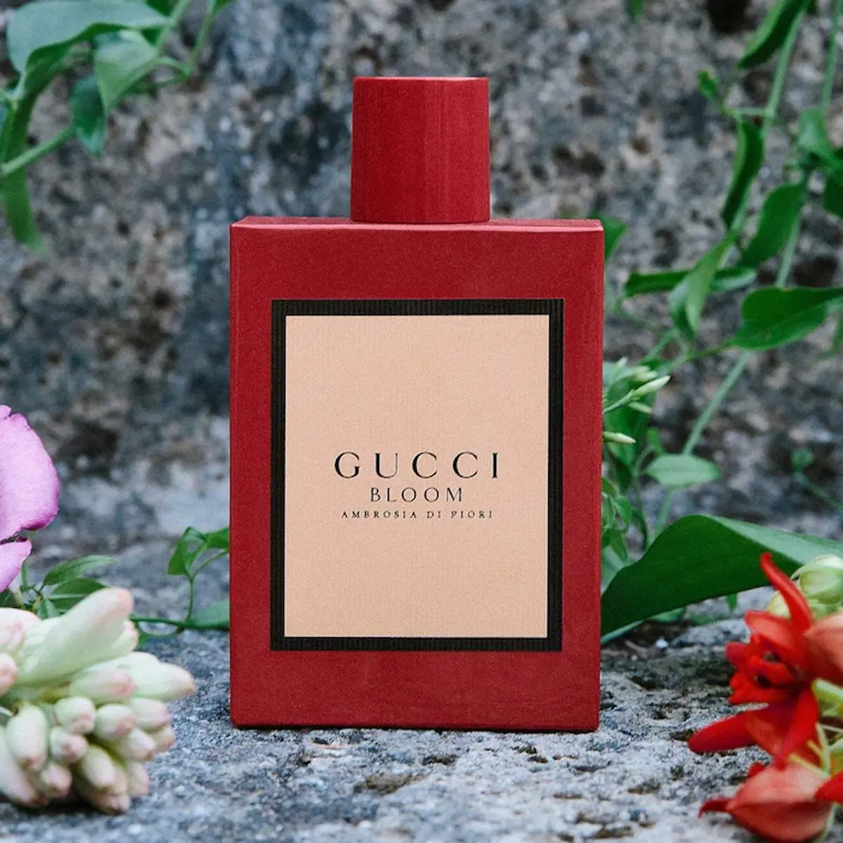 Hình 3 - Gucci Bloom Ambrosia Di Fiori EDP Intense 100ml