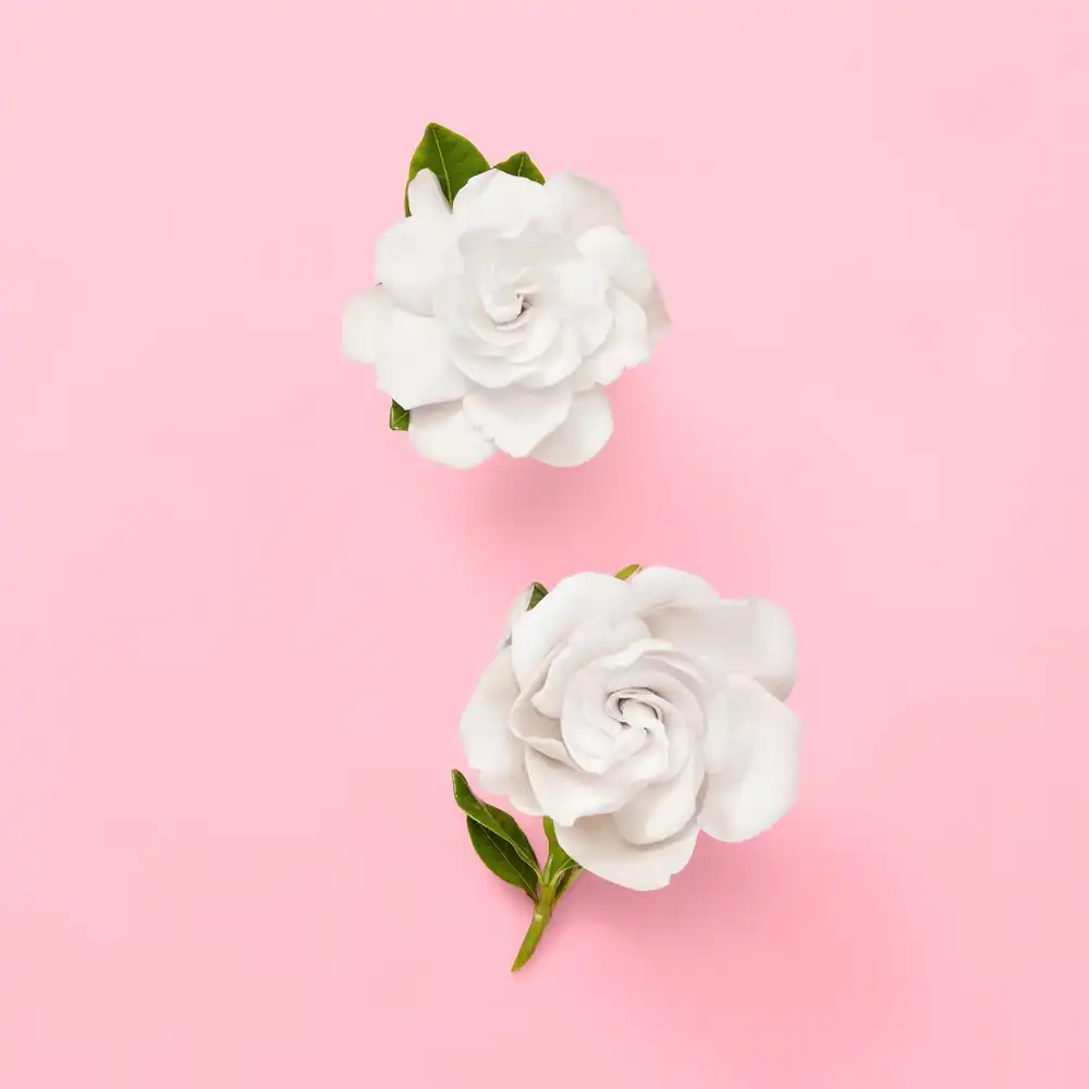 Hình 7 - Gucci Flora Gorgeous Gardenia EDP 100ml