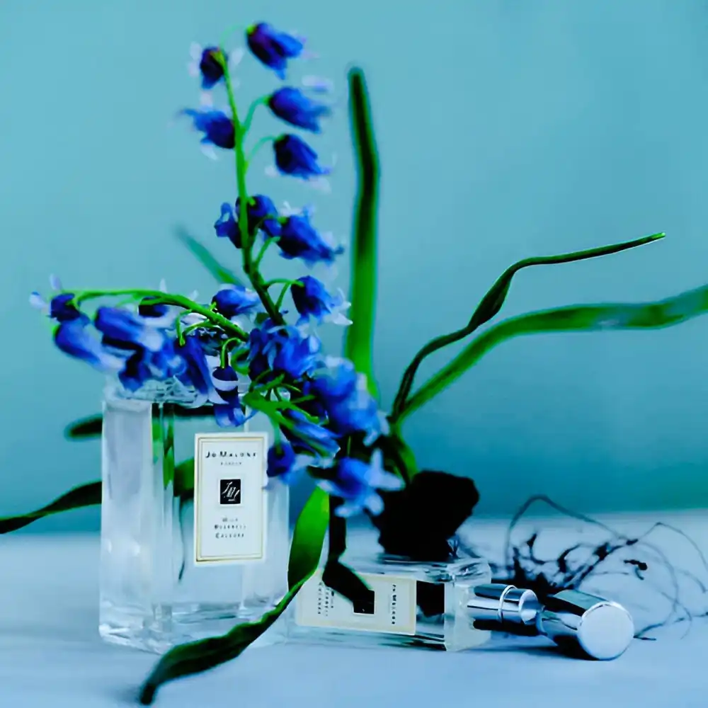 Hình 3 - Jo Malone London Wild Bluebell Cologne EDC 100ml