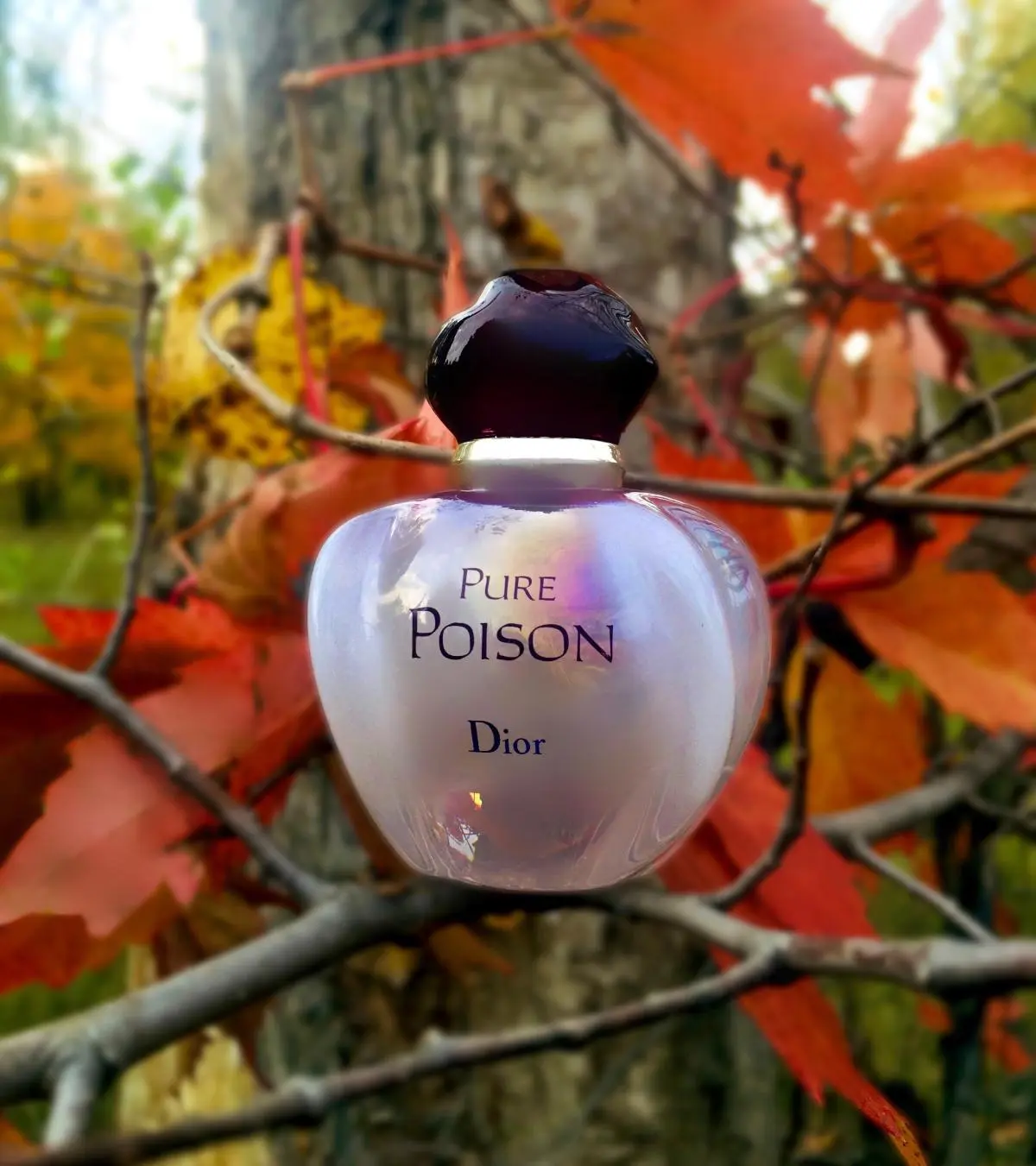 Hình 3 - Dior Pure Poison EDP 100ml