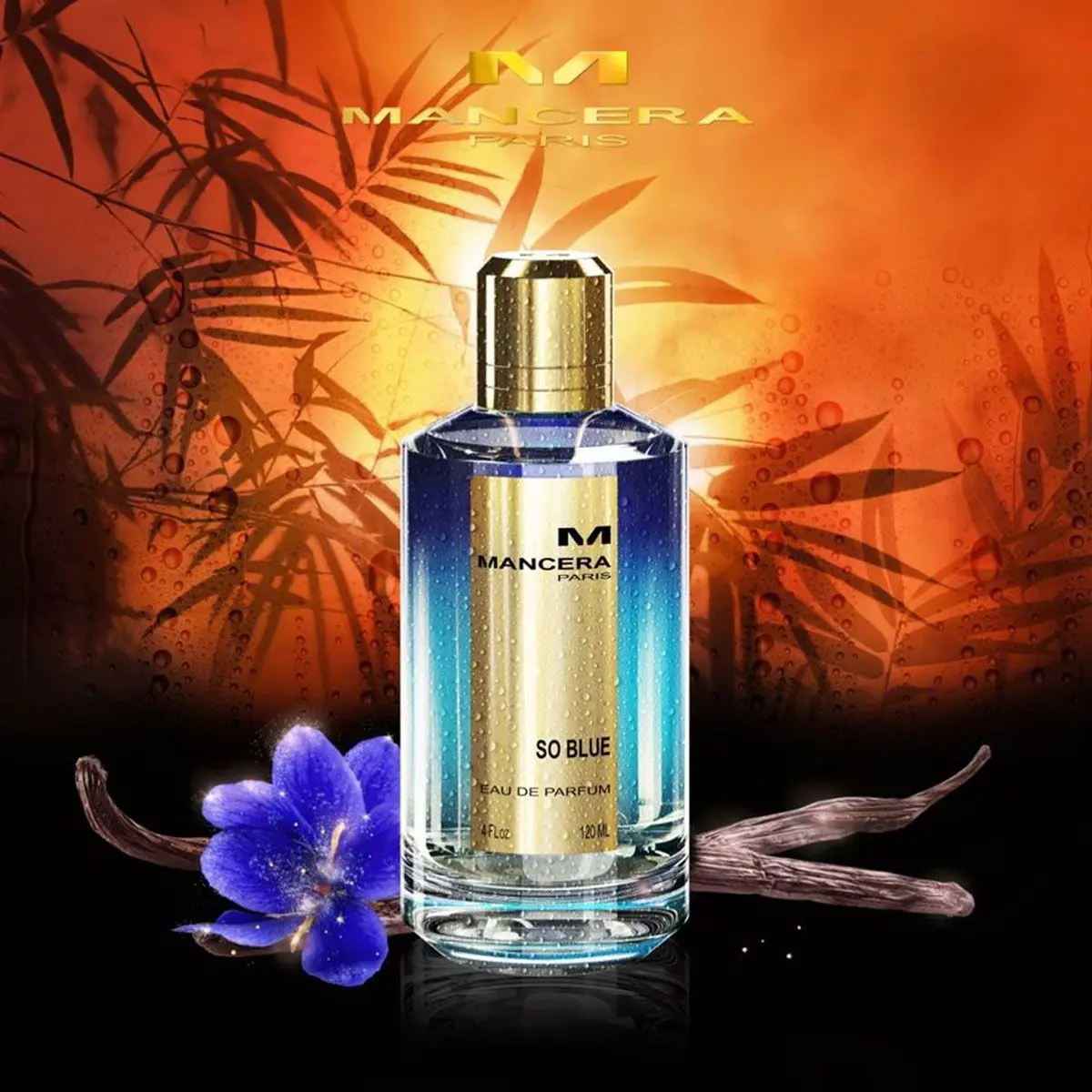 Hình 2 - Mancera So Blue EDP 120ml