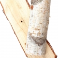 Gỗ Bạch Dương