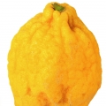 Quả Thanh Yên