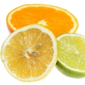 Họ Cam Chanh (Citrus)