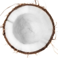 Quả Dừa (Cơm Dừa)