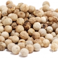 Rau Mùi & Hạt Ngò (Coriander)