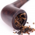 Cây Thuốc Lá (Tobacco)