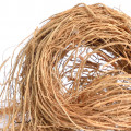 Cỏ Hương Bài (Vetiver)
